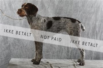 129608_le_ 02_0246.JPG