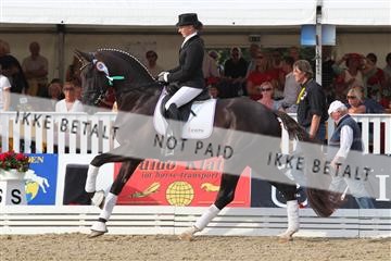 125527_BC_07_IMG_9507.JPG