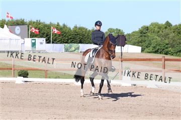 181449_bc_01R62_6185.JPG