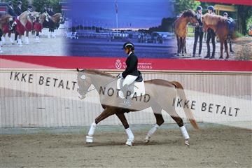 181887_mtp_02_R62_7287.JPG