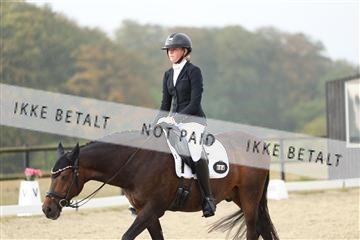 181894_mtp_04_R62_3541.JPG