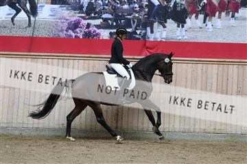181887_mtp_01_R62_6773.JPG
