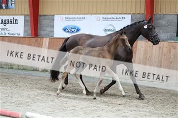 181868_mtp_03_R62_6227.JPG