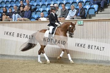 160111_nn_01__ESK1373.JPG