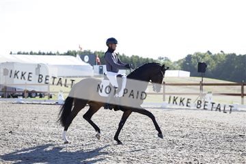 181449_kbb_01_6II8648.JPG