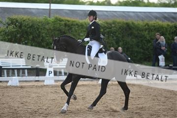 147698_nn_01_IMG_0896.JPG