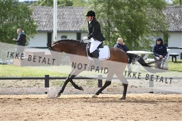 147698_nn_01_IMG_0043.JPG