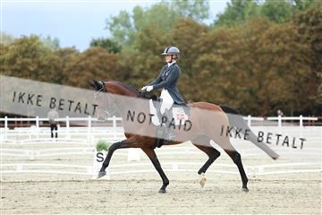 181923_mtp_04_R62_8677.JPG
