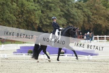 181923_mtp_03_R62_7661.JPG