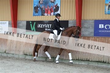 181867_mtp_02_R62_4589.JPG