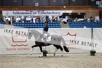 R62_5160.JPG