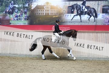 181887_mtp_05_R62_9428.JPG