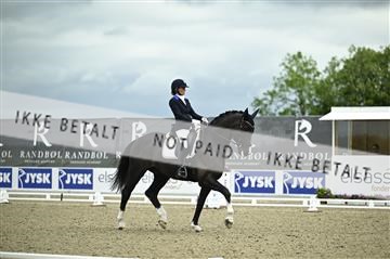 181449_kbb_03_Z090443.JPG