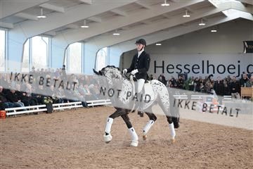 179022_kbb_01_R6II2486.JPG