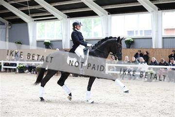 179088_mtp_01_3M5A3447.JPG