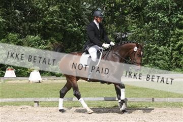 135518_ms_02_IMG_2839.JPG