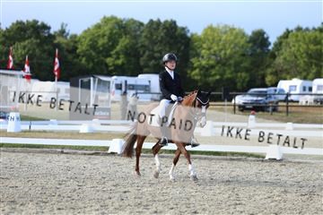 181894_mtp_05_R62_5203.JPG
