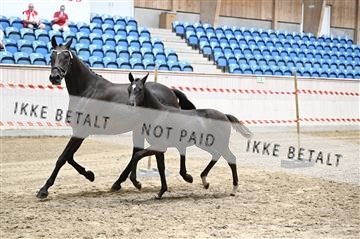 181754_kbb_01_Z093415.JPG