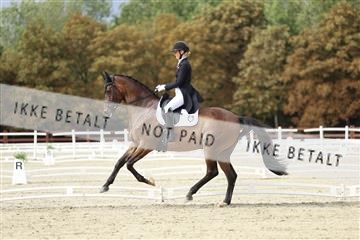 181923_mtp_03_R62_7503.JPG