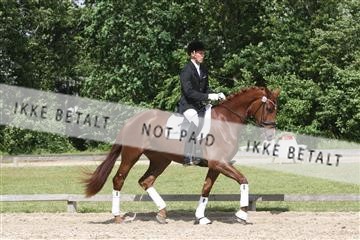 135518_ms_02_IMG_2732.JPG