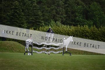 AKL_6115.JPG