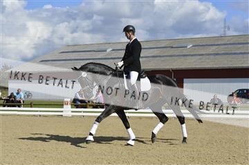 136195_abo_01__AB16327.JPG