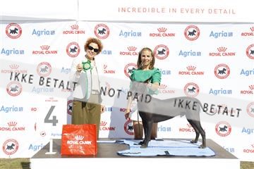 181848_kar_01__62_2409.JPG