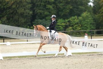 181894_mtp_03_R62_2991.JPG