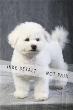 129608_le_ 01_0569.JPG