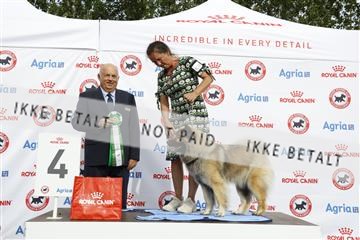 181848_kar_01__62_1065.JPG