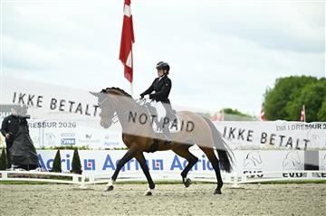 181449_kbb_03_Z091753.JPG