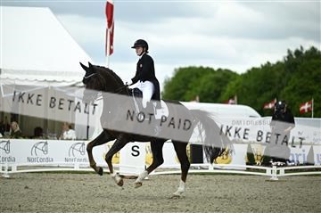 181449_kbb_03_Z090687.JPG