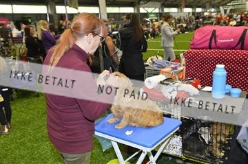 160416_jbr_01__JB21128.JPG