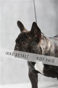 129608_le_ 01_0121.JPG