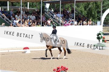 181726_mlm_01_R62_9588.JPG