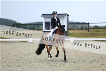 181894_mtp_05_R62_4196.JPG