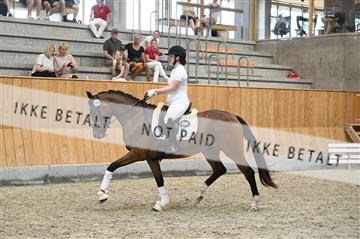 181595_kbb_01_Z098219.JPG