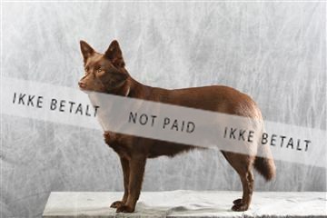 129608_le_ 01_0924.JPG