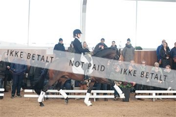 179022_kbb_01_R6II2439.JPG