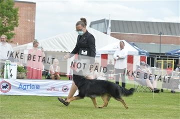 168981_bkn_01__MHR0280.JPG