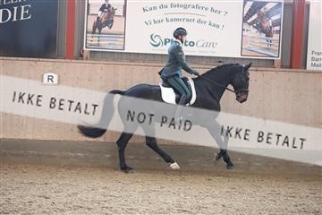 173782_mtp_01_3M5A7251.JPG