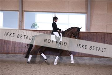 173821_mtp_01_3M5A8567.JPG