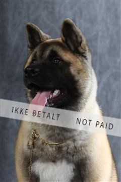 129608_le_ 01_0706.JPG