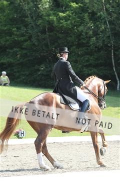 135676_sg_01_IMG_7856.JPG