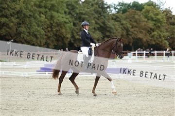 181923_mtp_02_R62_7028.JPG