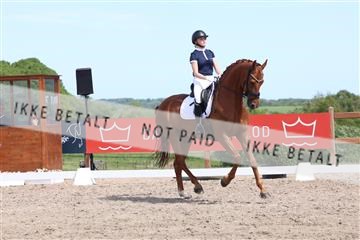 181449_bc_01R62_5864.JPG