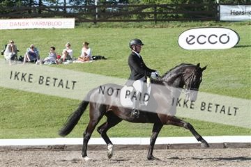 135676_sg_03_IMG_0011.JPG
