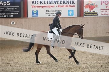 173782_mtp_01_3M5A6996.JPG