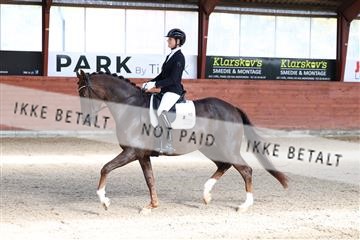 175442_kbb_01_R6II0191.JPG