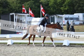 181894_mtp_05_R62_5230.JPG